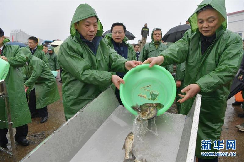 （环境）（1）春季禁渔 增殖放流