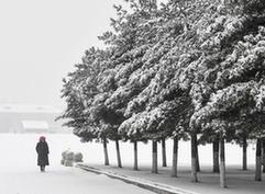 （环境）（1）吉林长春：春分时节雪纷纷