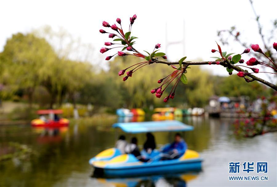 （春季美丽生态）（6）上海：千花百卉争明媚