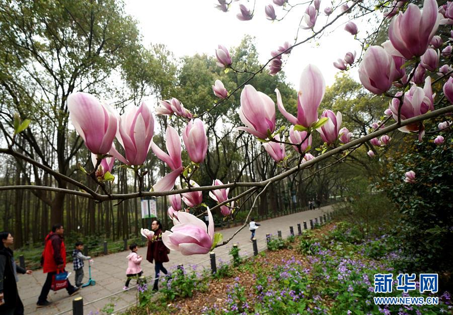（环境）（2）上海举行都市森林百花展