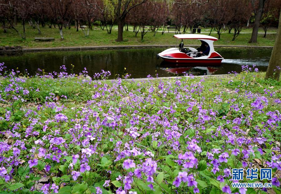 （环境）（5）上海举行都市森林百花展