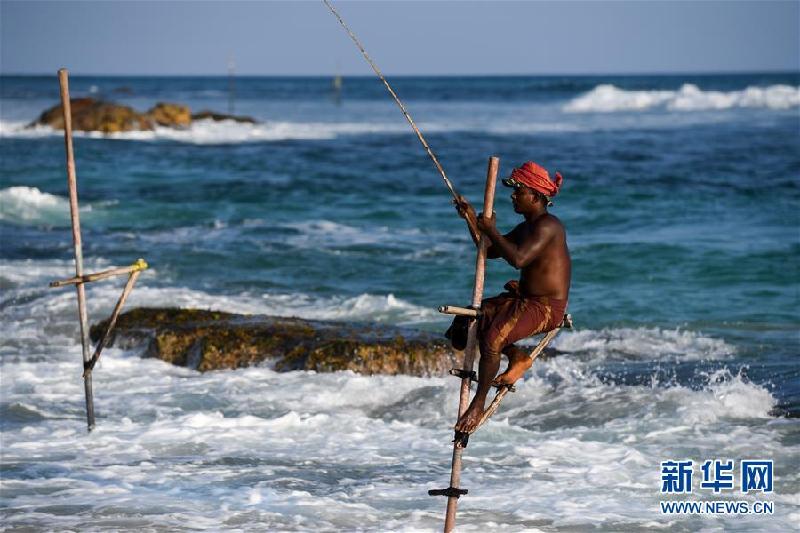 （新华视界）（1）斯里兰卡：高跷海钓人