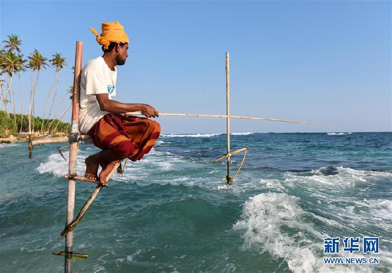 （新华视界）（3）斯里兰卡：高跷海钓人