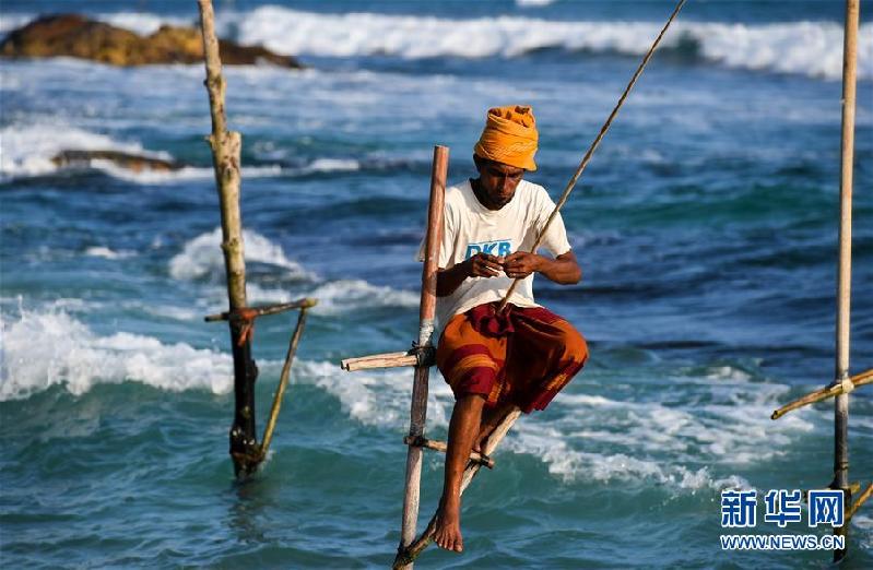 （新华视界）（4）斯里兰卡：高跷海钓人