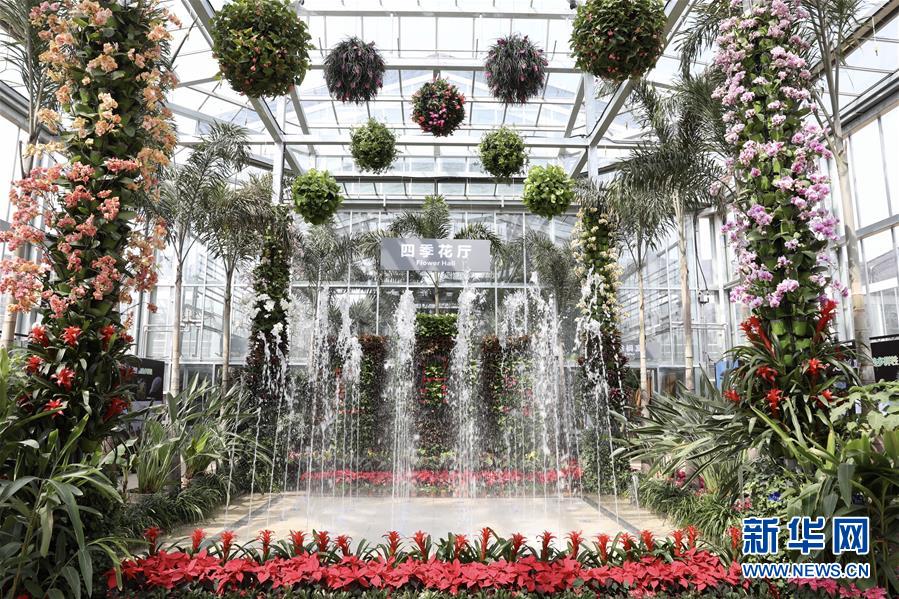 （科技）（2）北京最“年长”植物温室重新开放