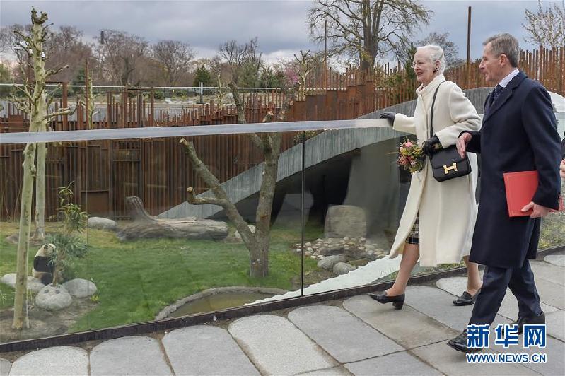 （国际）（1）丹麦女王为哥本哈根动物园熊猫馆揭幕