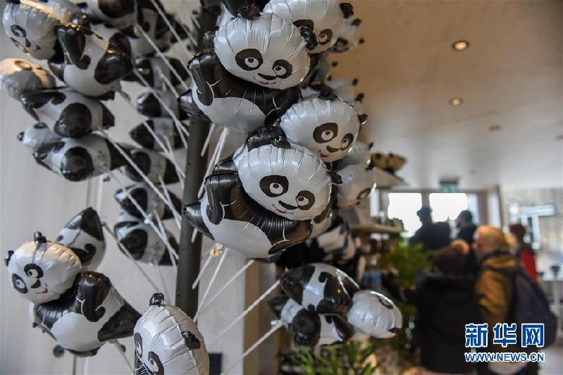 （国际）（3）哥本哈根动物园熊猫馆向公众开放