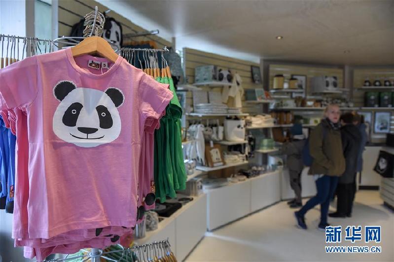 （国际）（5）哥本哈根动物园熊猫馆向公众开放