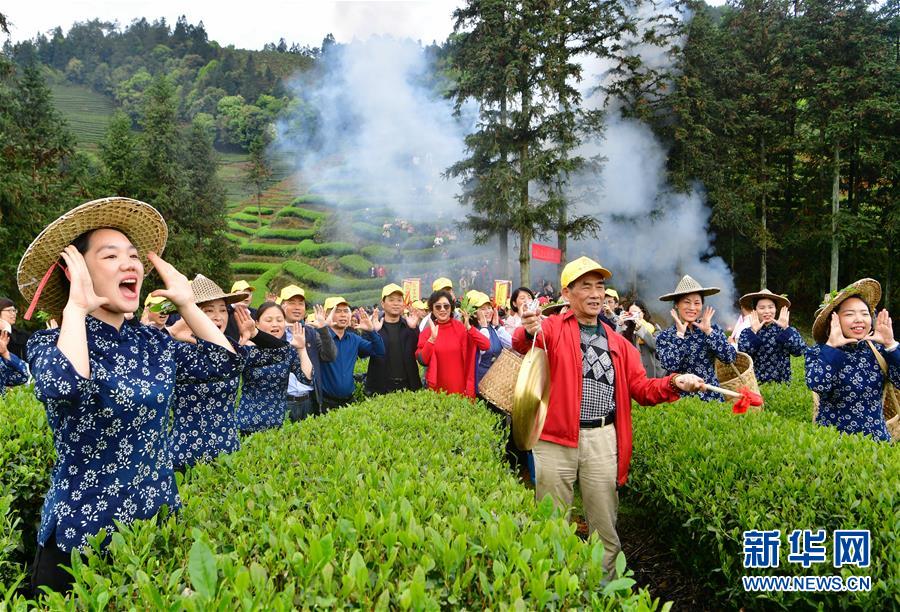 （社会）（2）武夷山：生态茶园 祭茶喊山