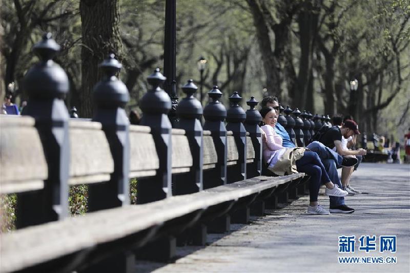 （国际）（3）纽约中央公园“探春”