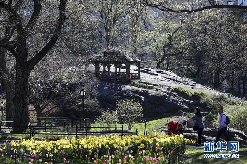 （国际·北京世园会）（8）世界园林巡礼——纽约的城市花园：中央公园