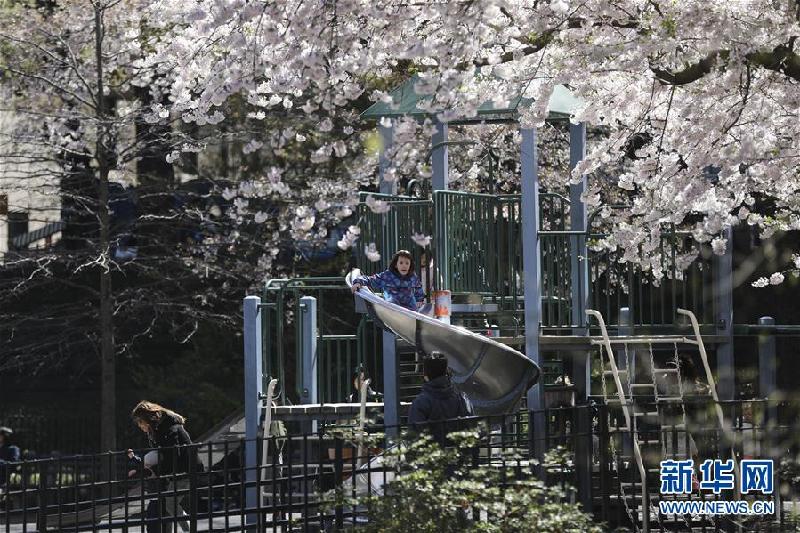 （国际·北京世园会）（11）世界园林巡礼——纽约的城市花园：中央公园