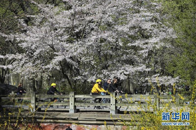 （国际·北京世园会）（13）世界园林巡礼——纽约的城市花园：中央公园
