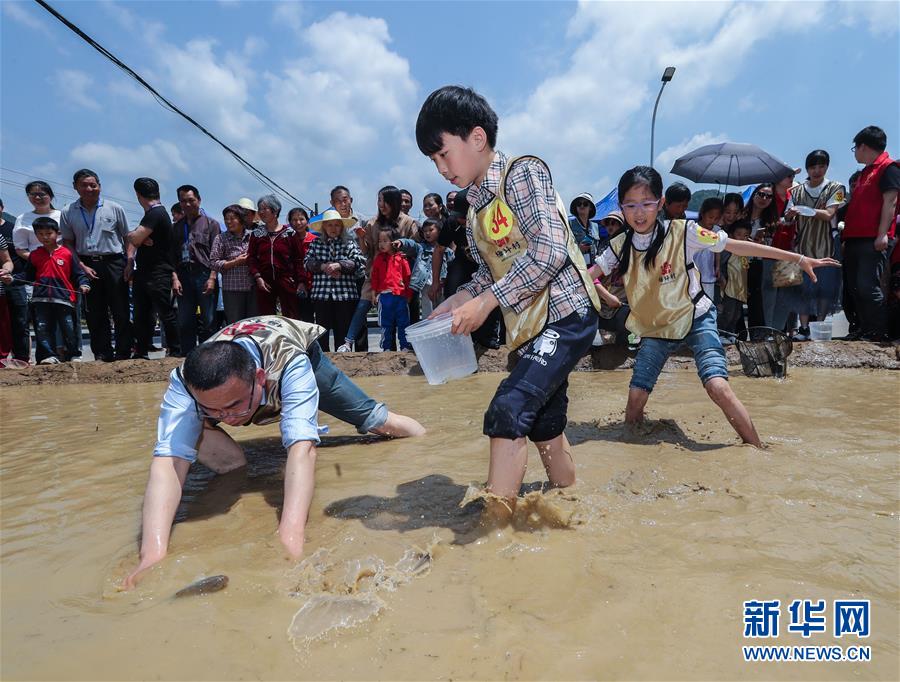 （社会）（5）假日里的的乡村趣味“泥巴节”