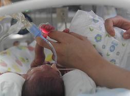 （健康）（1）新生儿重症监护室里的“天使妈妈”