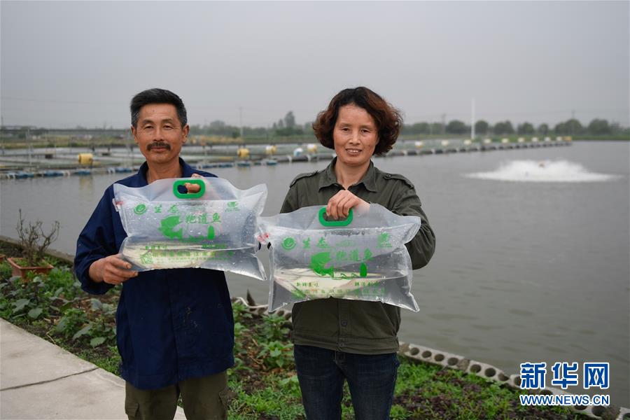 （经济）（4）浙江湖州：把鱼养在“跑道”里