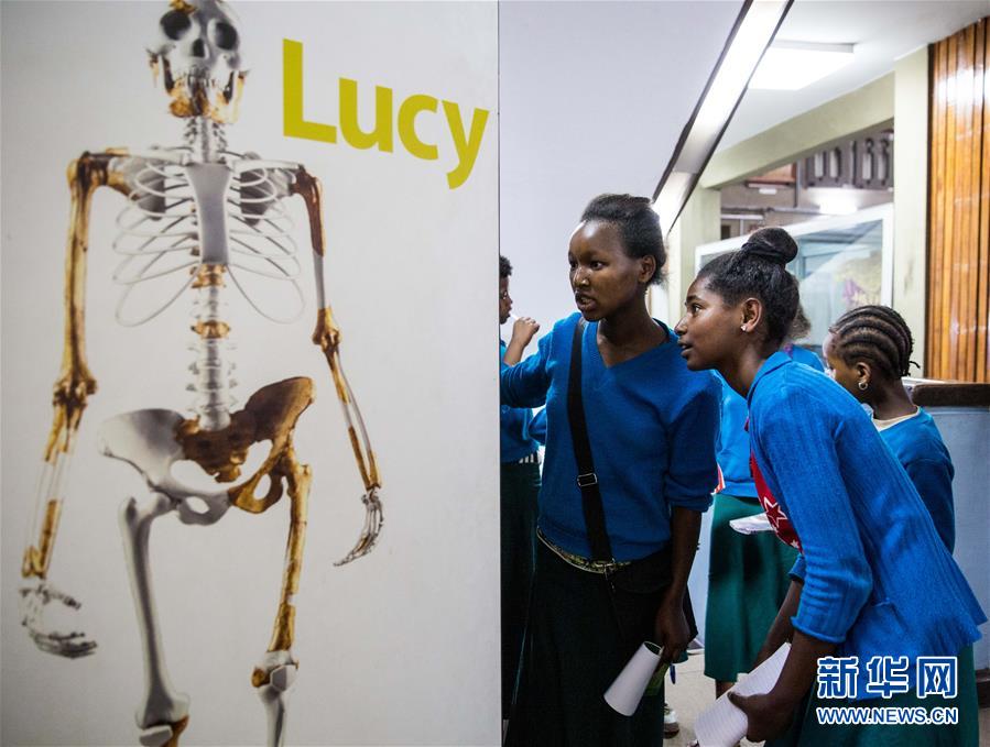 （国际）（2）走进“人类祖母”露西的家——埃塞俄比亚国家博物馆