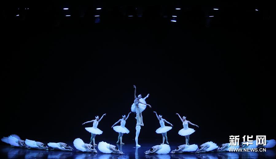 （国际·图文互动）（3）中央芭蕾舞团亮相巴西　庆中巴建交45周年
