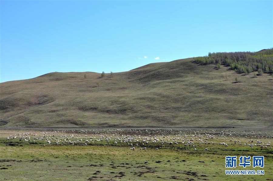 （环境）（1）内蒙古草原陆续进入返青期