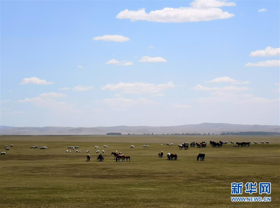 （环境）（2）内蒙古草原陆续进入返青期
