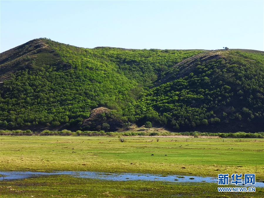 （环境）（3）内蒙古草原陆续进入返青期