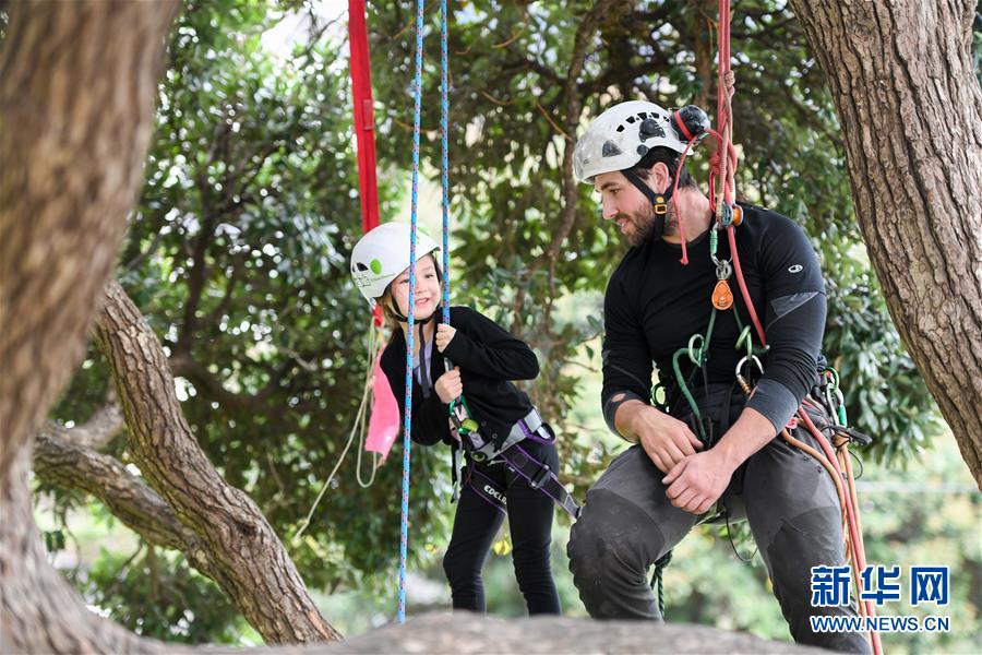 （国际）（1）新西兰：儿童周末爬树体验 