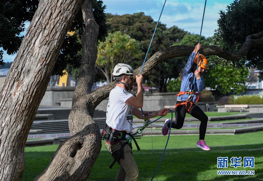 （国际）（4）新西兰：儿童周末爬树体验 