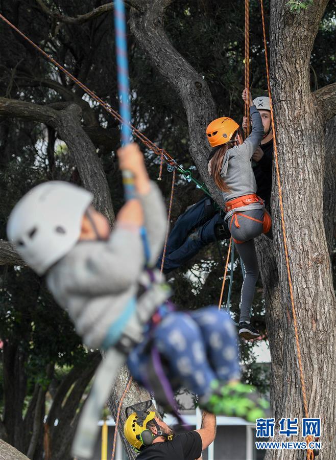 （国际）（7）新西兰：儿童周末爬树体验 