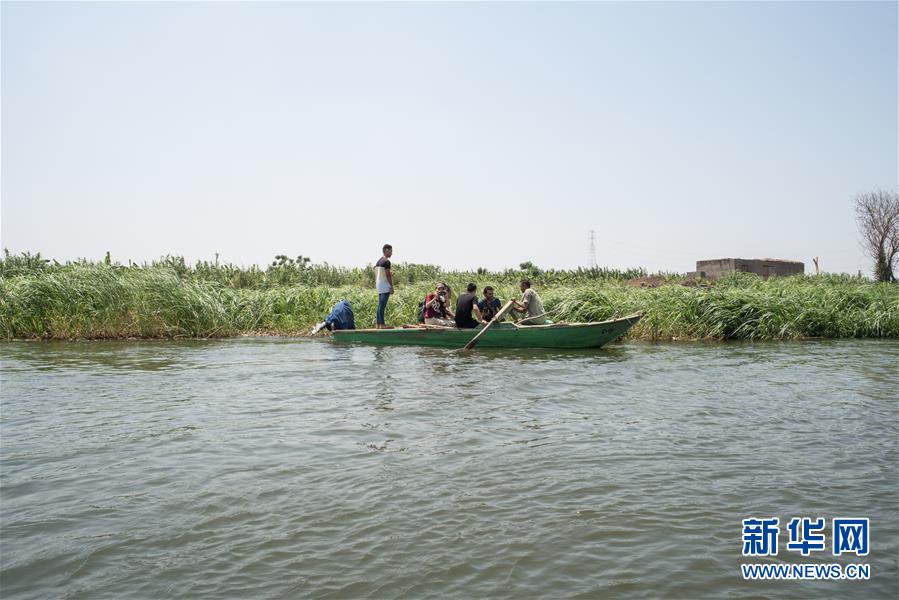 （国际·图文互动）（2）从尼罗河畔到中国餐桌——一只“洋”小龙虾的36小时旅程