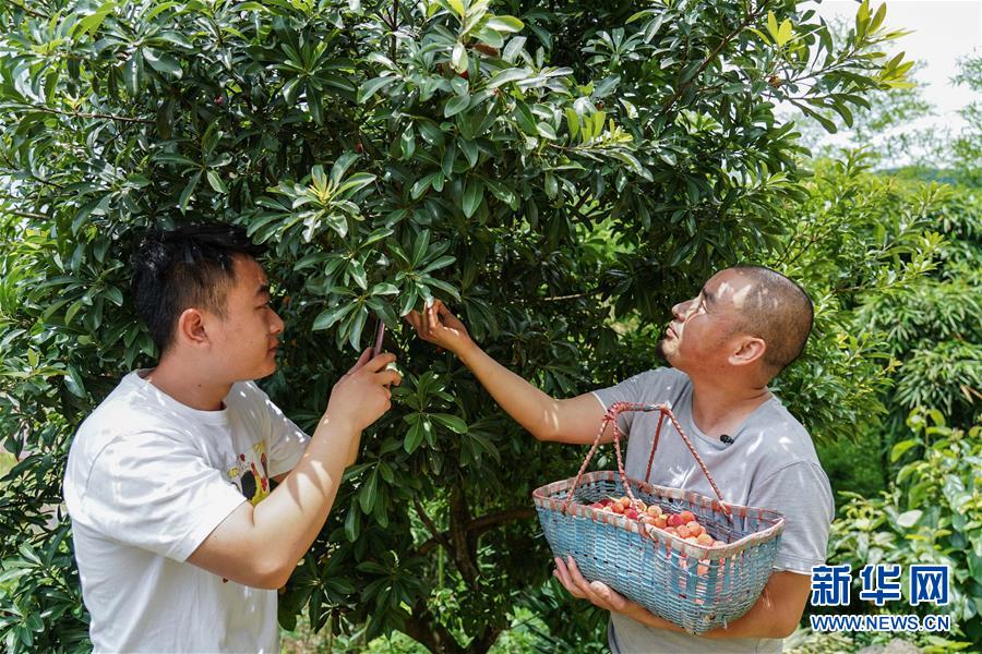 （图片故事）（5）农民蒋金春：让山外的人走进来，让山里的货走出去