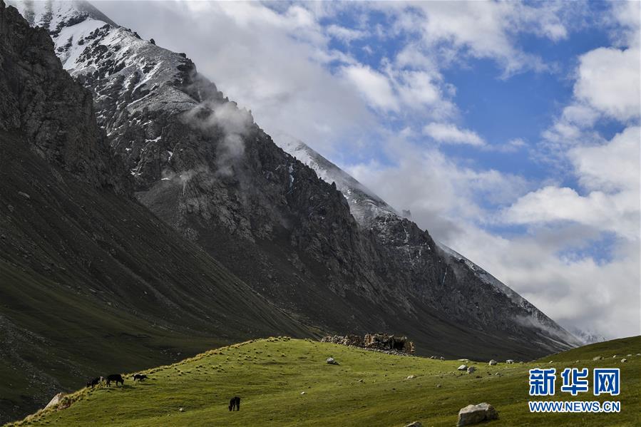 （环境）（5）新疆塔什库尔干：“云端牧场”生态美