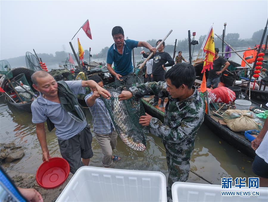 （社会）（6）富春江开渔 江南渔村开启“丰收季”