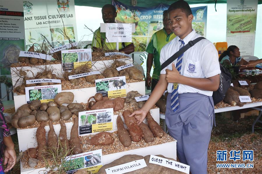 （国际）（1）2019年斐济全国农业展在首都苏瓦举行