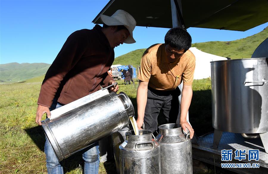 （经济）（3）四川藏乡牦牛产业升级助牧民增收