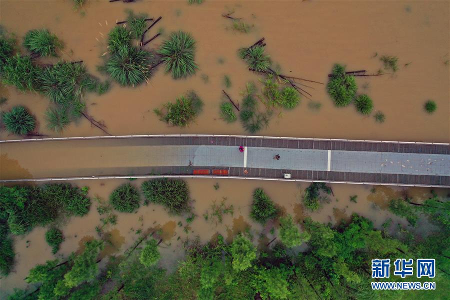 （环境）（4）湖南发布洪水红色预警 长沙橘子洲景区紧急闭园