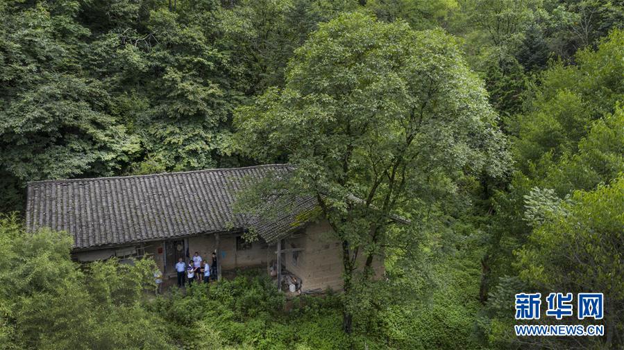 （壮丽70年·奋斗新时代）（2）五代人不忘初心 七十载深耕林海