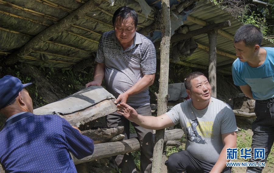 （壮丽70年·奋斗新时代）（5）五代人不忘初心 七十载深耕林海