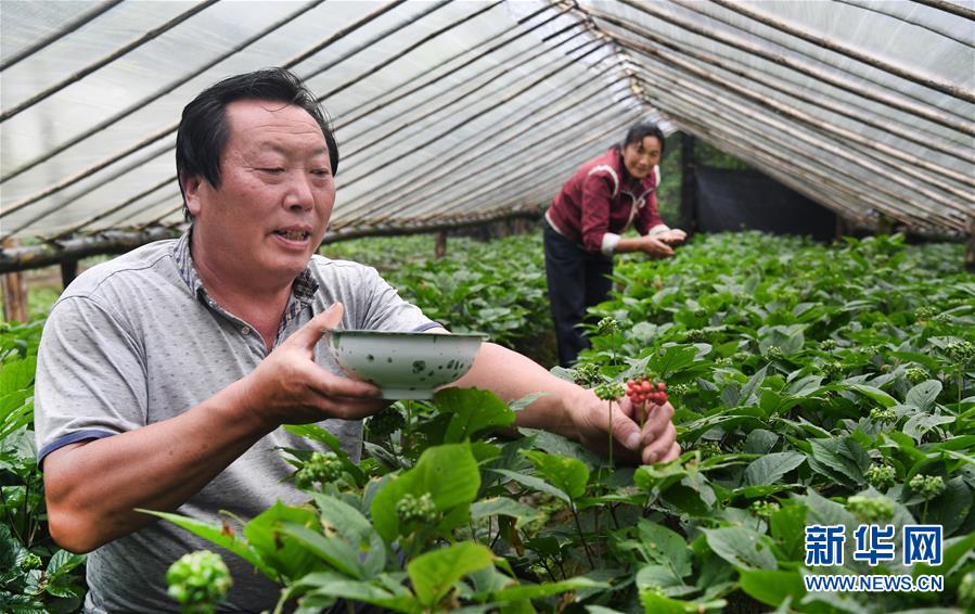 （壮丽70年·奋斗新时代）（6）五代人不忘初心 七十载深耕林海