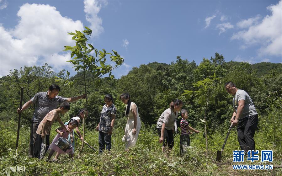 （壮丽70年·奋斗新时代）（10）五代人不忘初心 七十载深耕林海