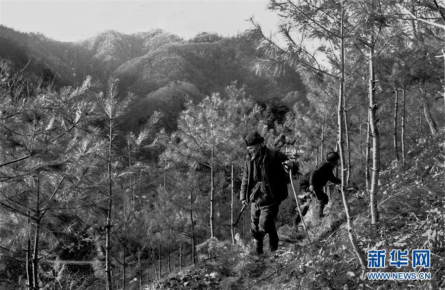 （壮丽70年·奋斗新时代）（14）五代人不忘初心 七十载深耕林海