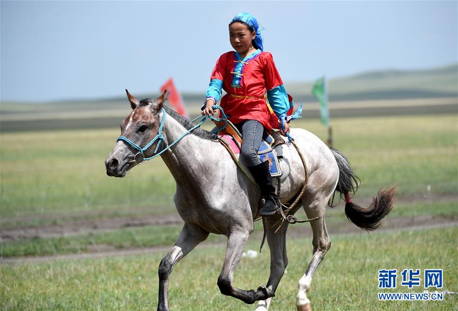 （图片故事）（1） 少女骑手马背上“飞驰”的夏天