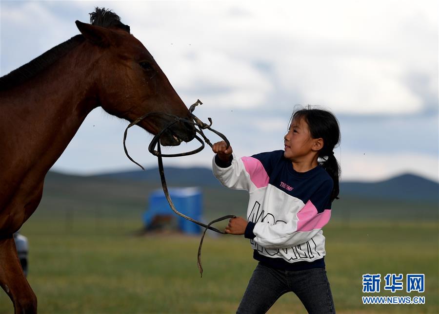 （图片故事）（2） 少女骑手马背上“飞驰”的夏天