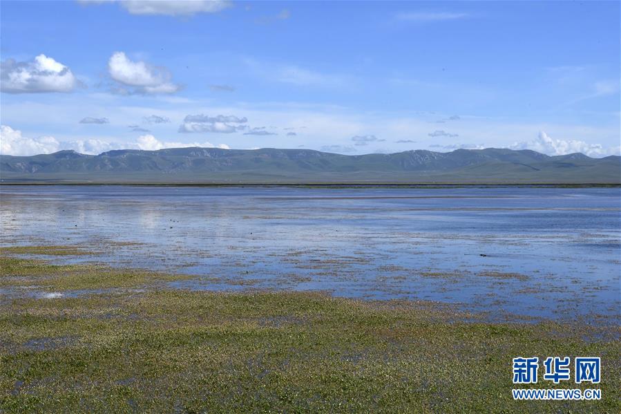 （环境）（5）甘肃尕海湖水域面积持续扩大