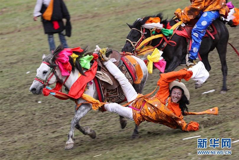 （社会）（1）来四川理塘赛马节 看康巴汉子帅气飚马
