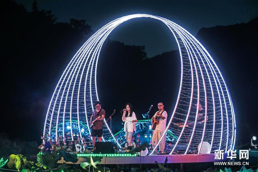 （社会）（6）夏日乡村举办“荷塘乐色”音乐会
