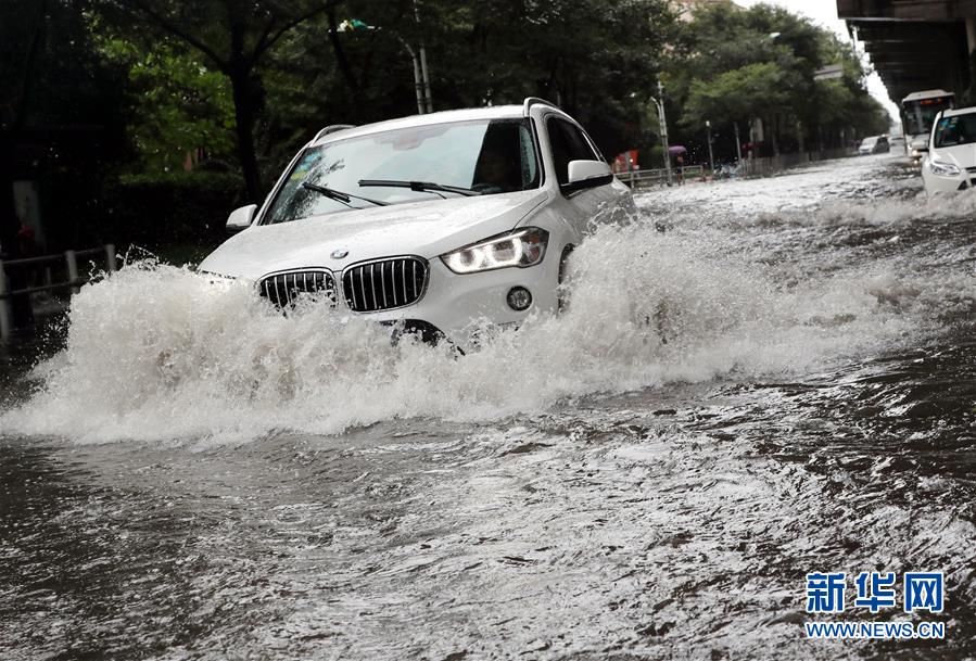 （关注“利奇马”）（2）受台风“利奇马”影响 上海发布暴雨橙色预警
