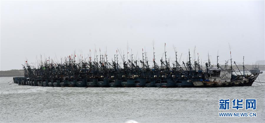 （关注“利奇马”）（2）日照黄海中心渔港各类船只全部归港