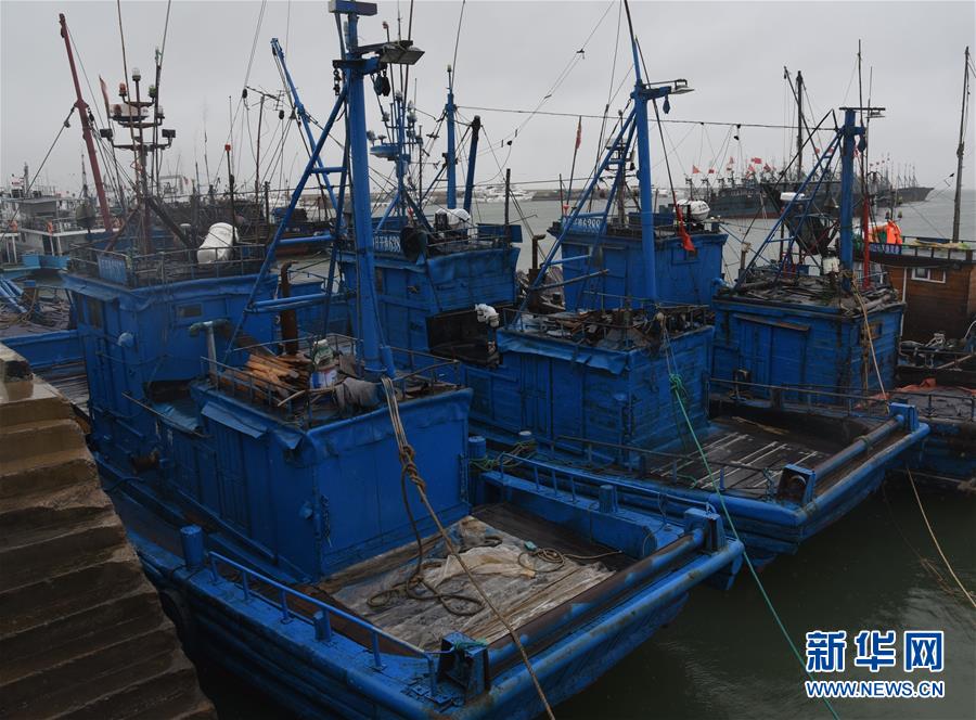 （关注“利奇马”）（3）日照黄海中心渔港各类船只全部归港