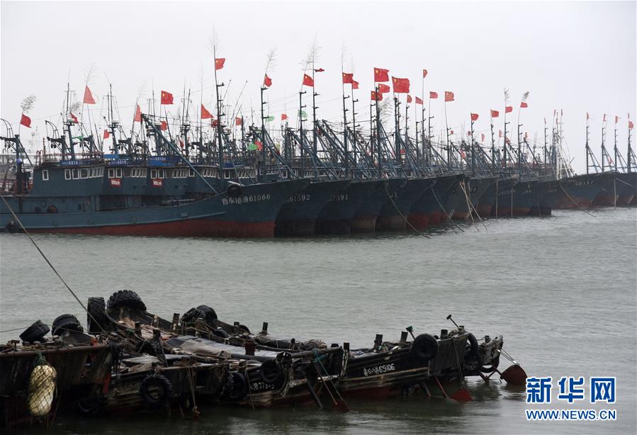 （关注“利奇马”）（5）日照黄海中心渔港各类船只全部归港