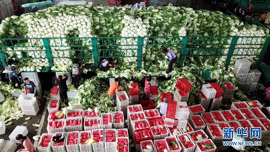 （关注“利奇马”）（4）山东寿光蔬菜供应平稳 价格略涨